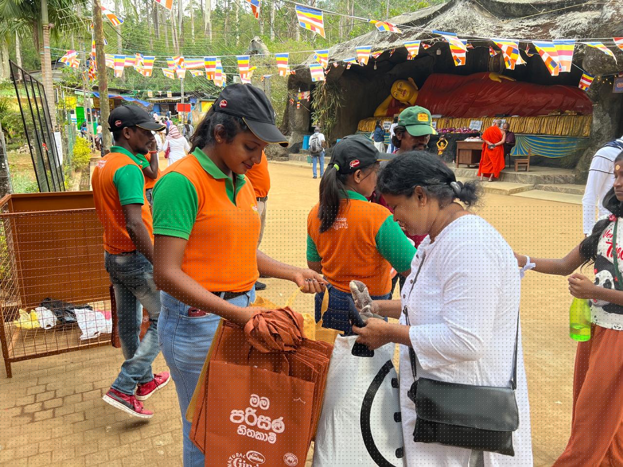 Ginger Sri Pada - Image 3